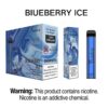 Yuoto (2500)-Blueberry Ice