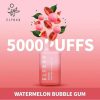 Elfbar-Watermelon Bubble Gum