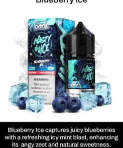 NASTY SUPER COOL 30ML – Blueberry Ice